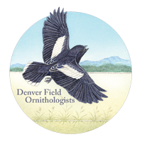 DFO Logo
